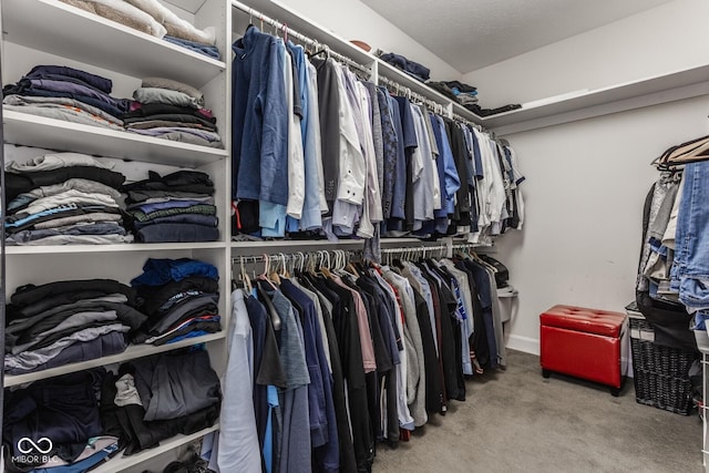 spacious closet with carpet