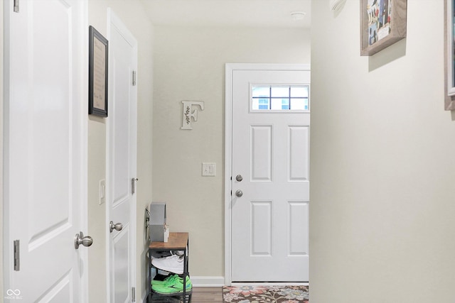 entryway featuring wood-type flooring