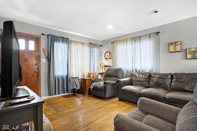 living room featuring hardwood / wood-style floors