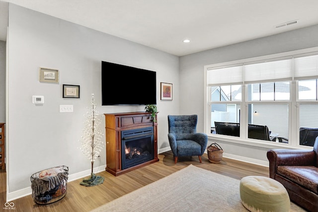 living room with wood-type flooring