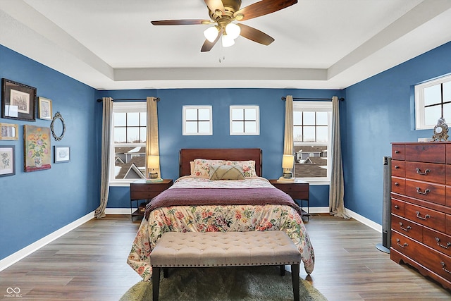 bedroom with dark wood-type flooring, ceiling fan, and a tray ceiling