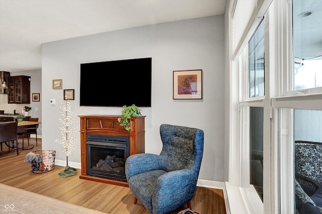 living room featuring hardwood / wood-style floors