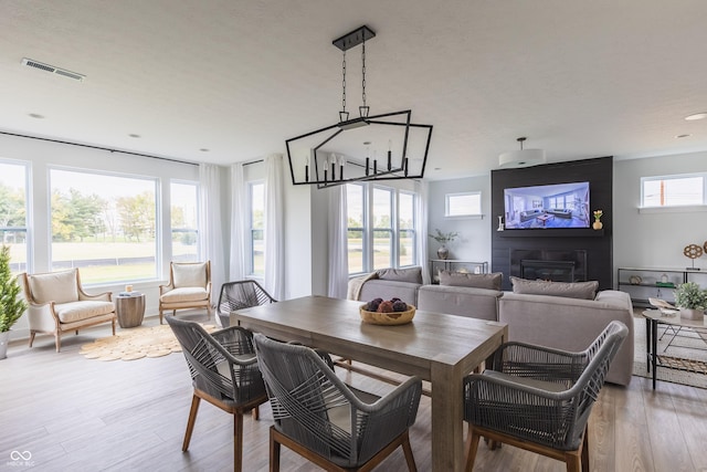 dining space featuring light hardwood / wood-style floors and a wealth of natural light