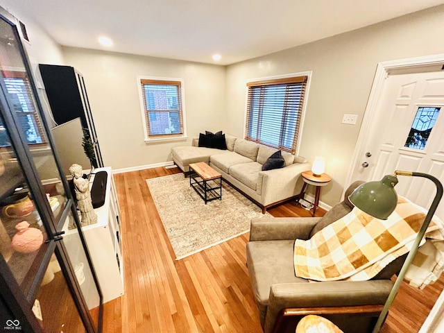 living room with light hardwood / wood-style floors