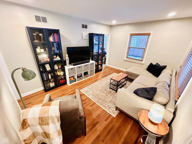 living room featuring wood-type flooring