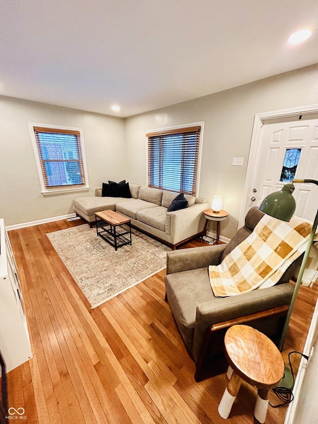 living room with hardwood / wood-style floors