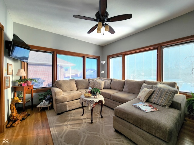 living room featuring plenty of natural light, hardwood / wood-style floors, and ceiling fan