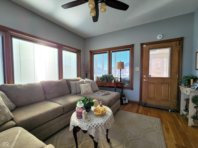 living room with ceiling fan and light hardwood / wood-style floors