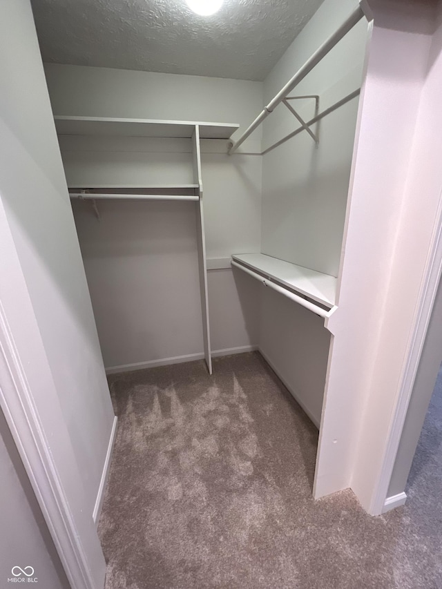 spacious closet with dark carpet