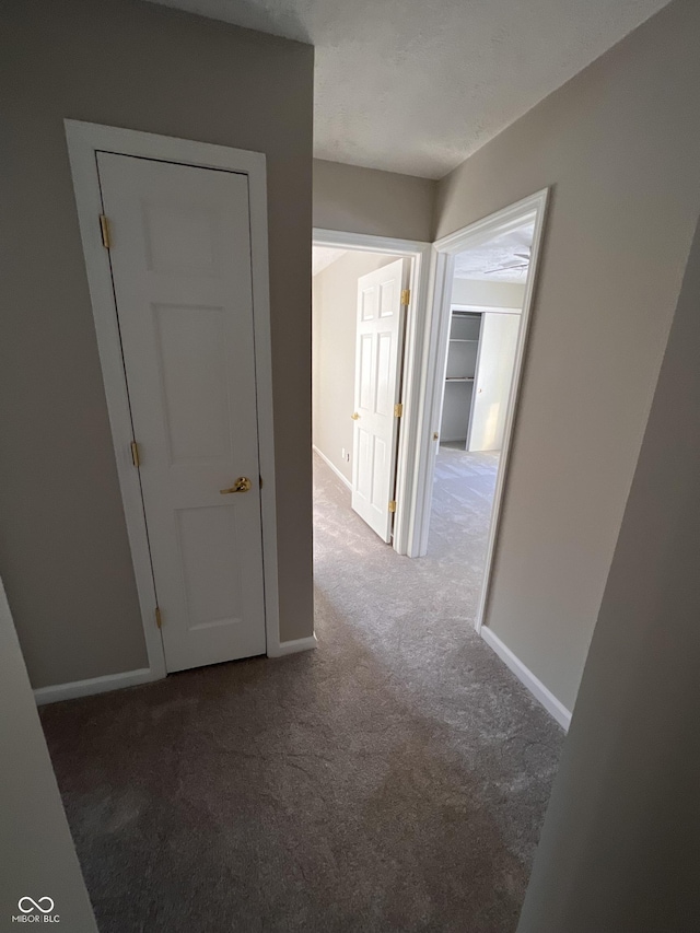 corridor featuring carpet floors