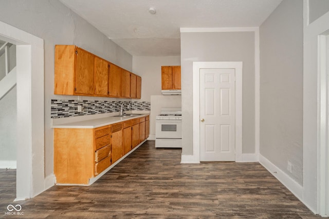 kitchen with tasteful backsplash, sink, dark hardwood / wood-style floors, and gas range gas stove