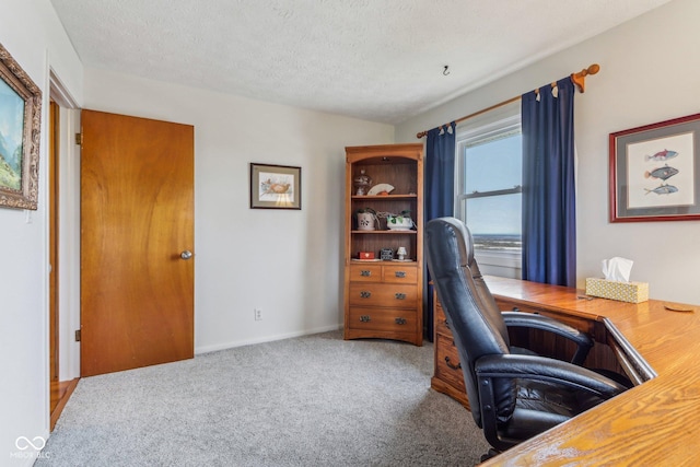 office space with carpet and a textured ceiling