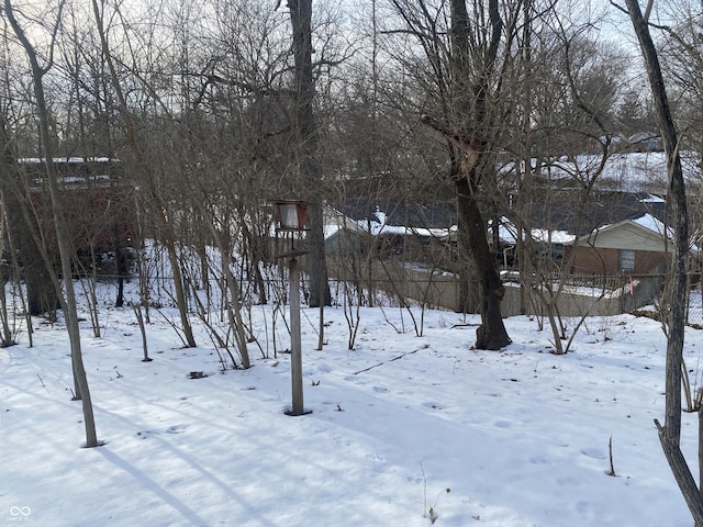 view of yard covered in snow