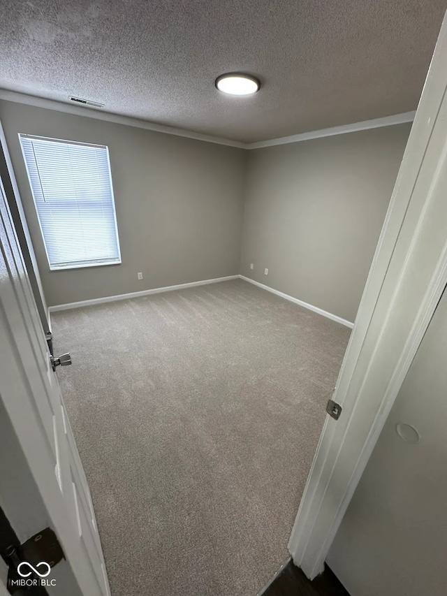 unfurnished room with carpet and a textured ceiling