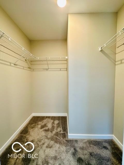 spacious closet with dark colored carpet