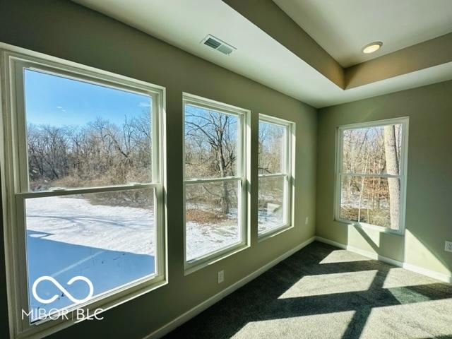 doorway featuring a healthy amount of sunlight, a tray ceiling, and dark colored carpet