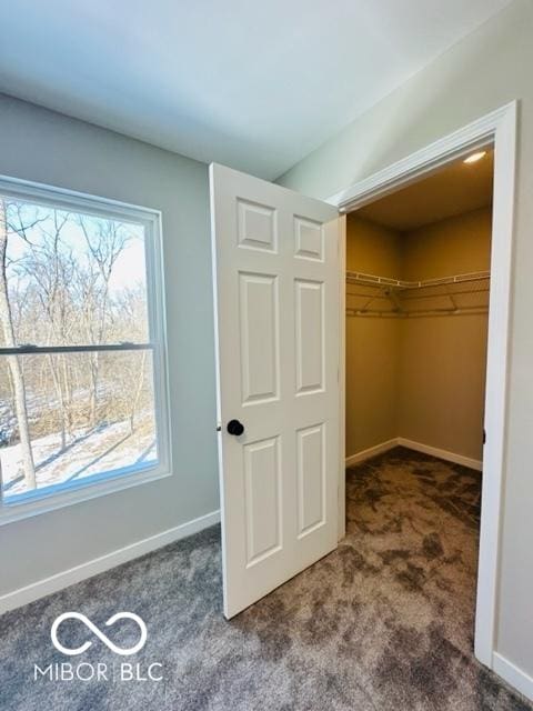 view of closet