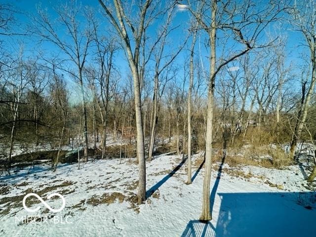 view of snowy yard