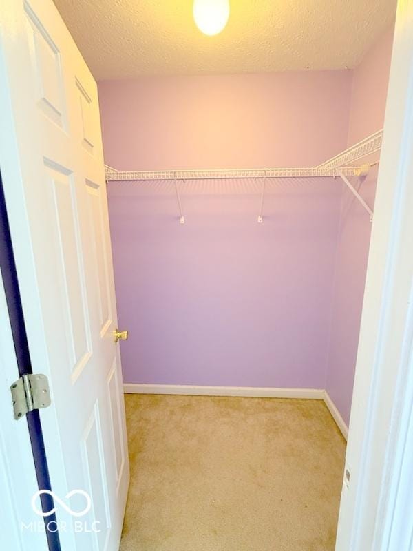 spacious closet featuring light colored carpet