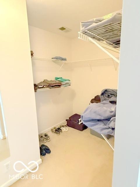 spacious closet featuring carpet floors