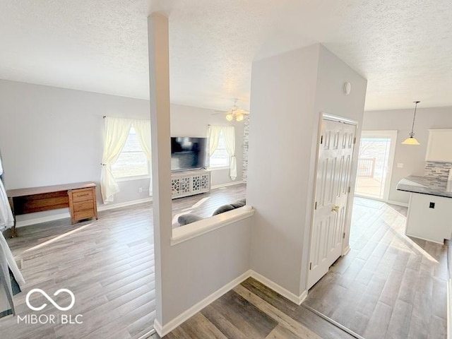 interior space with ceiling fan, hardwood / wood-style flooring, and a textured ceiling