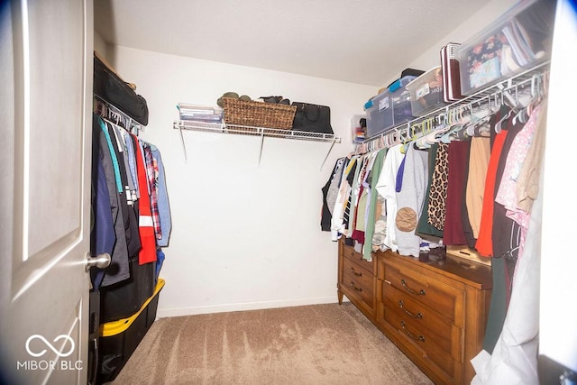 walk in closet with carpet floors