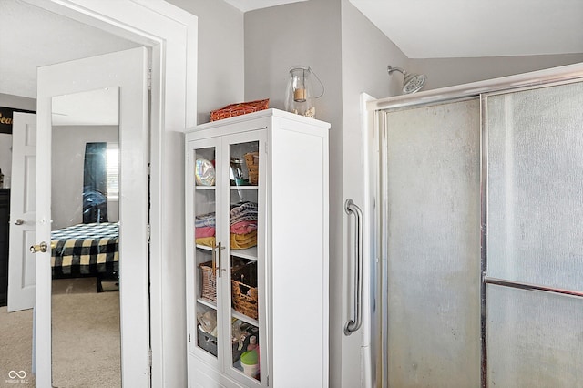 bathroom featuring lofted ceiling and an enclosed shower