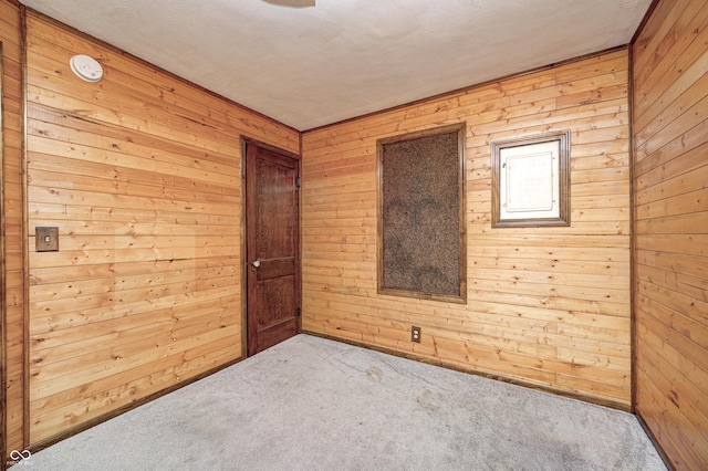 spare room featuring carpet floors