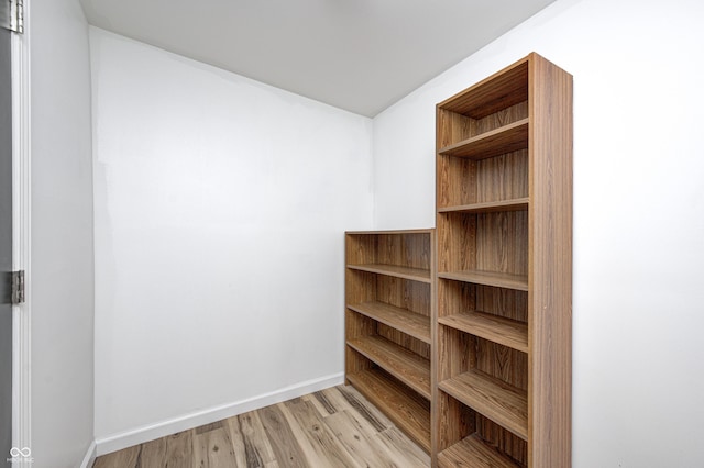 spacious closet with light wood-type flooring