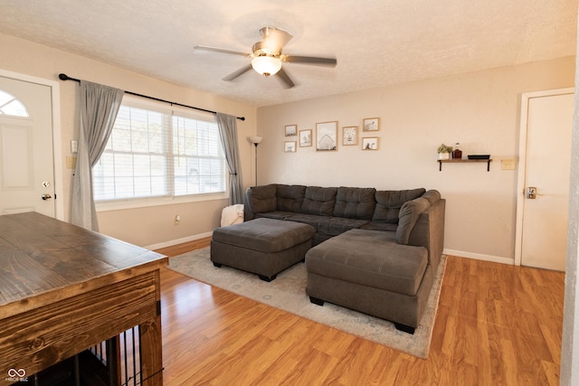 living room featuring ceiling fan, light hardwood / wood-style flooring, and a textured ceiling