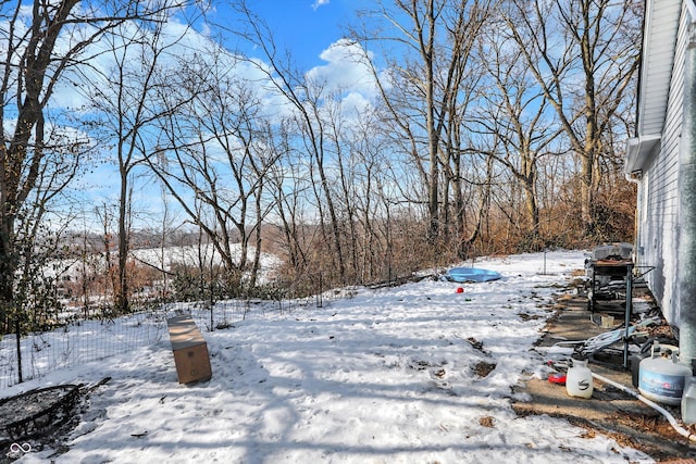 view of yard layered in snow