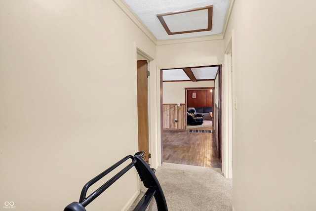 hallway featuring ornamental molding, carpet flooring, and a textured ceiling