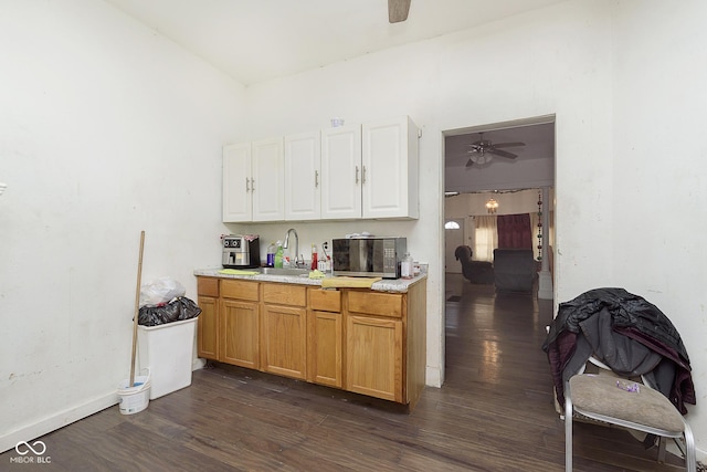 kitchen featuring ceiling fan, dark hardwood / wood-style flooring, and sink