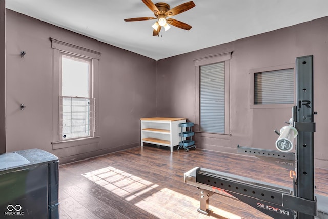 workout area with wood-type flooring and ceiling fan