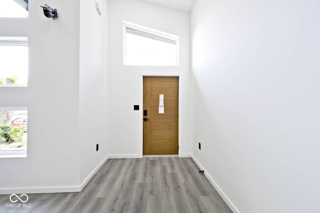 entryway with light wood-type flooring and a high ceiling