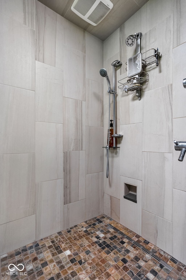 8552 E 550 S, Zionsville, IN 46077 - full bath with tiled shower