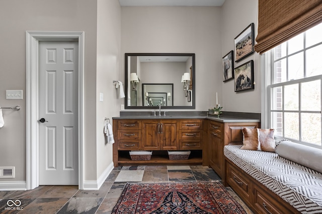 8552 E 550 S, Zionsville, IN 46077 - bathroom with stone tile floors, plenty of natural light, and vanity