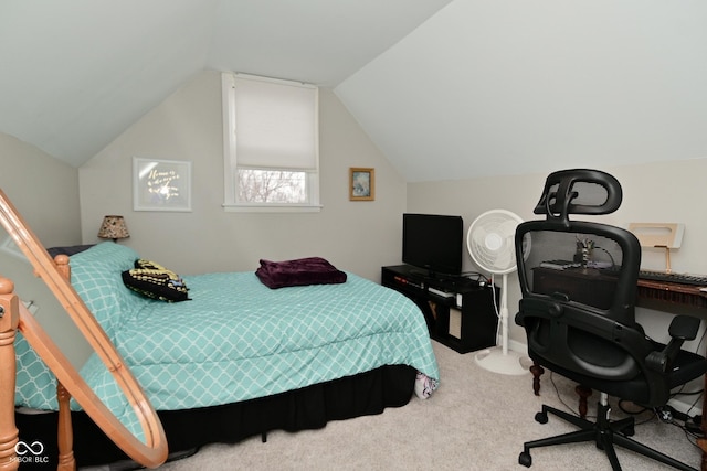 1719 Fletcher Ave, Indianapolis, IN 46203 - bedroom with carpet flooring and vaulted ceiling