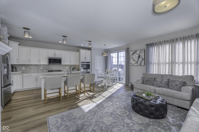 living room featuring dark hardwood / wood-style floors and sink