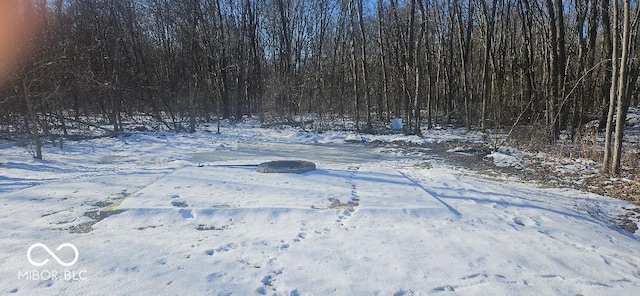 view of yard covered in snow