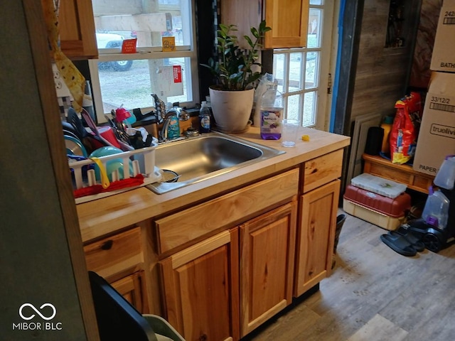 kitchen with sink and light hardwood / wood-style flooring