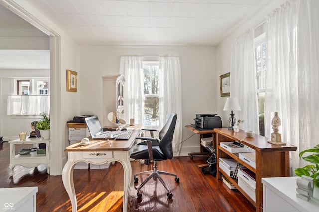 home office featuring dark hardwood / wood-style flooring