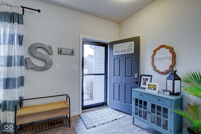 entryway with hardwood / wood-style floors and a wealth of natural light