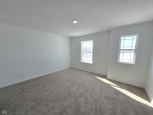 empty room with plenty of natural light, carpet flooring, and a textured ceiling