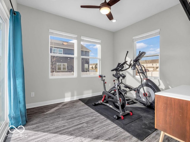 workout area featuring hardwood / wood-style flooring, ceiling fan, and a healthy amount of sunlight