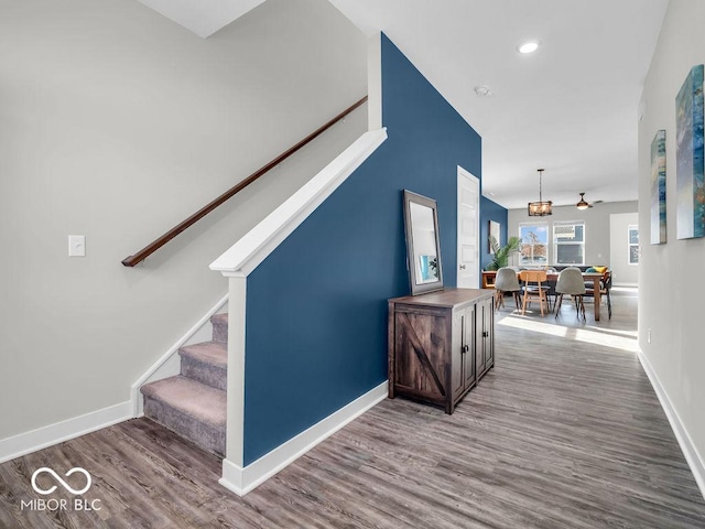 staircase with hardwood / wood-style flooring