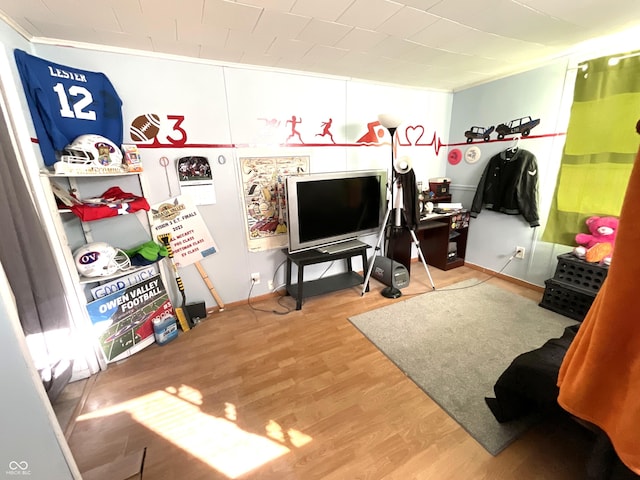 game room featuring wood-type flooring