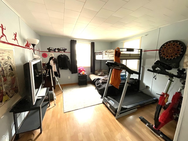 exercise room featuring light hardwood / wood-style flooring