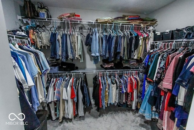 walk in closet featuring carpet flooring