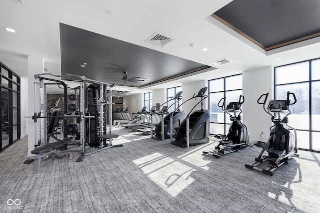 workout area featuring ceiling fan, a tray ceiling, carpet floors, and a wealth of natural light